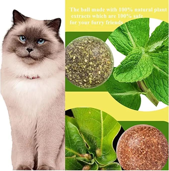 Avocado-Shaped Interactive Catnip Toy