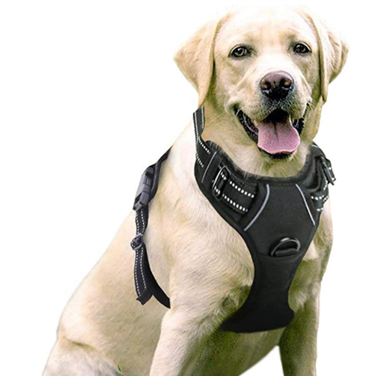 Adjustable pet harnesses for secure and comfortable walks