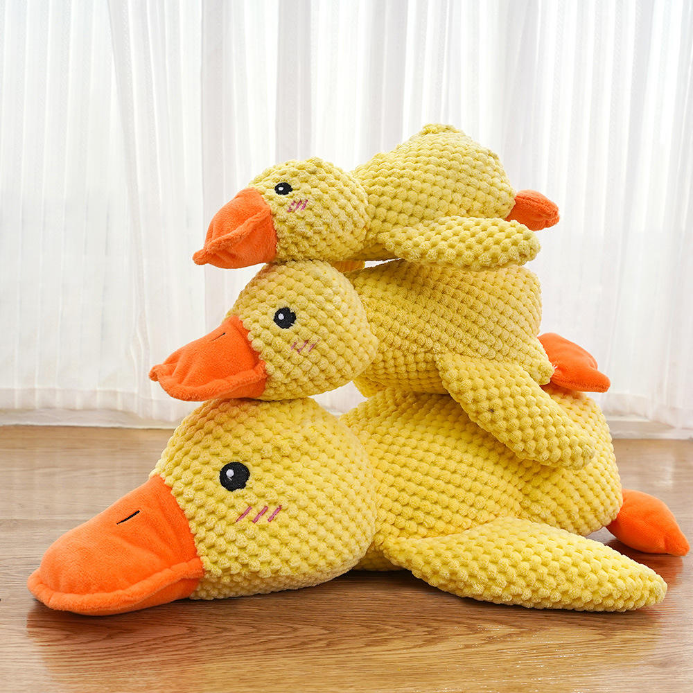 Dog Squeaky Toy