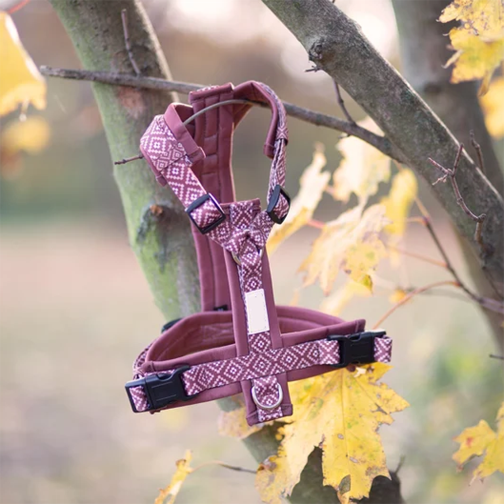 Dog Harness with Matching Leash and Collar