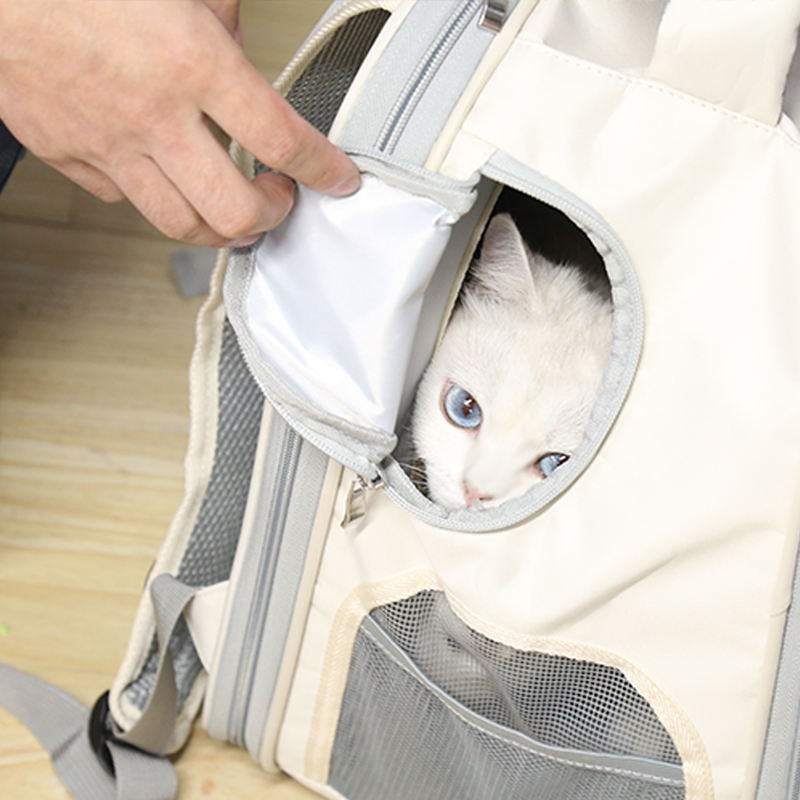 Portable Pet Carrier