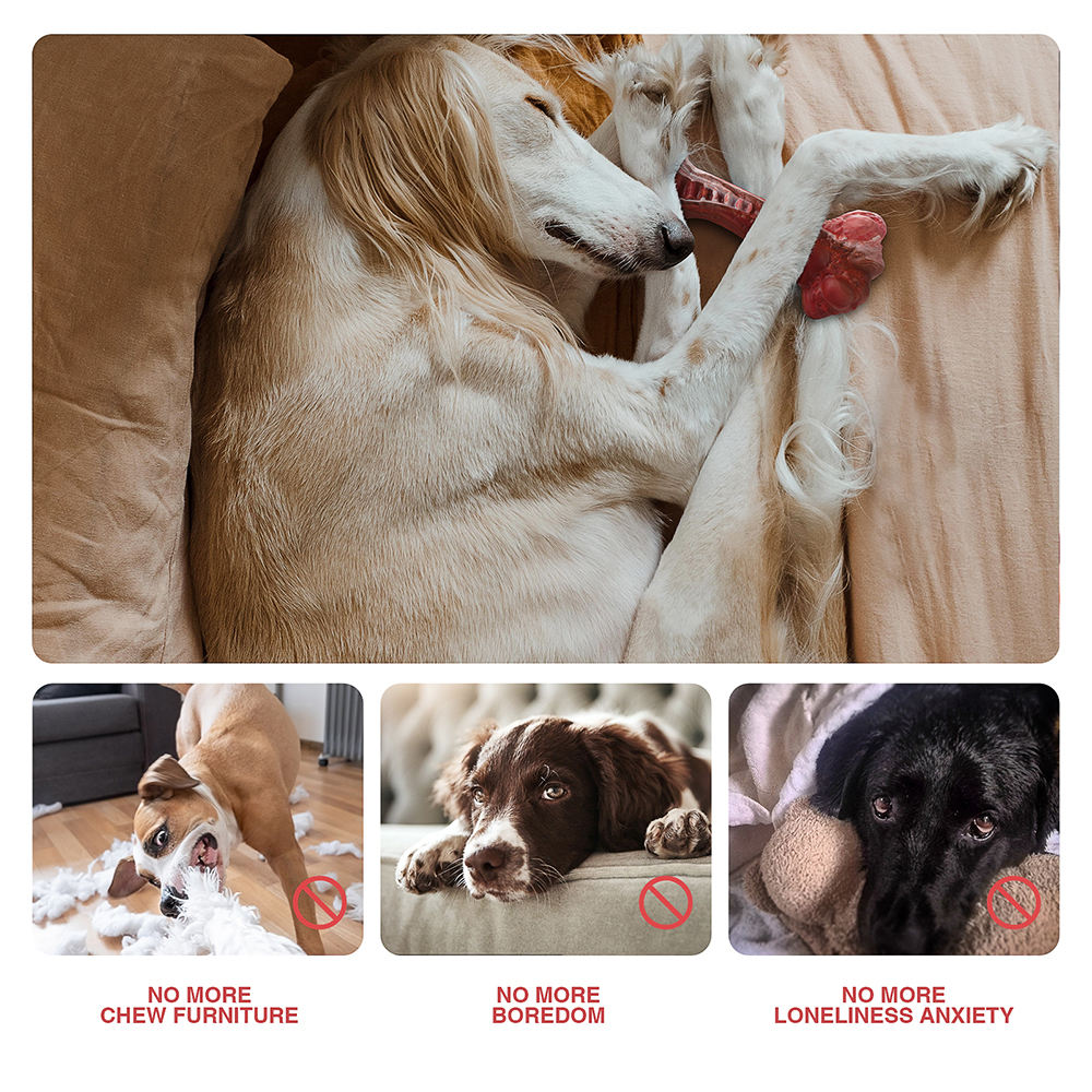 Bone Ultra Durable Interactive Rubber Chew Dog Toy