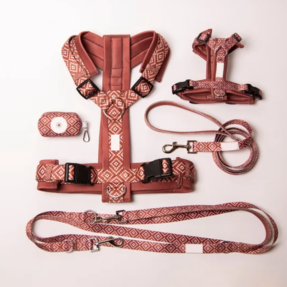 Dog Harness with Matching Leash and Collar