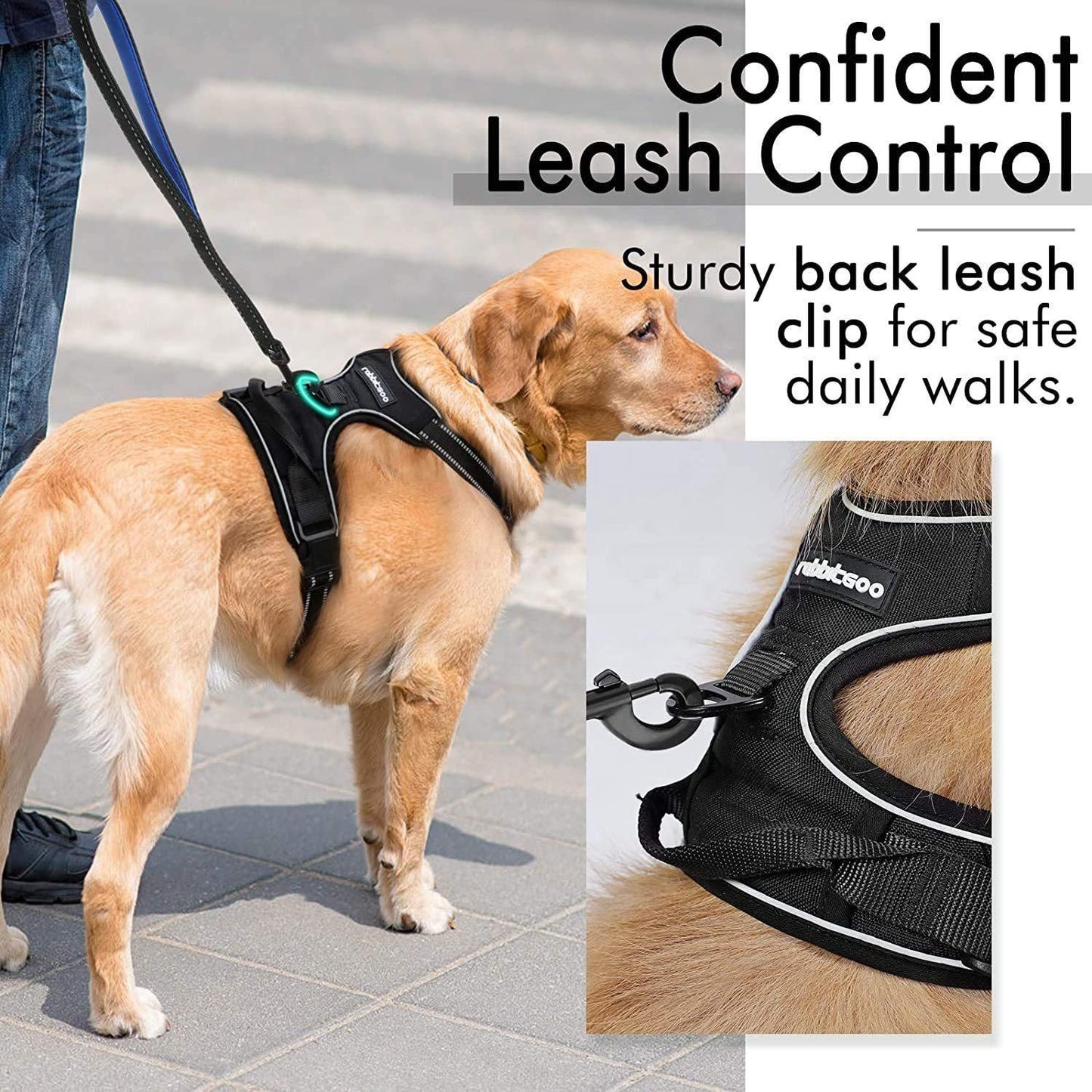 Adjustable pet harnesses for secure and comfortable walks