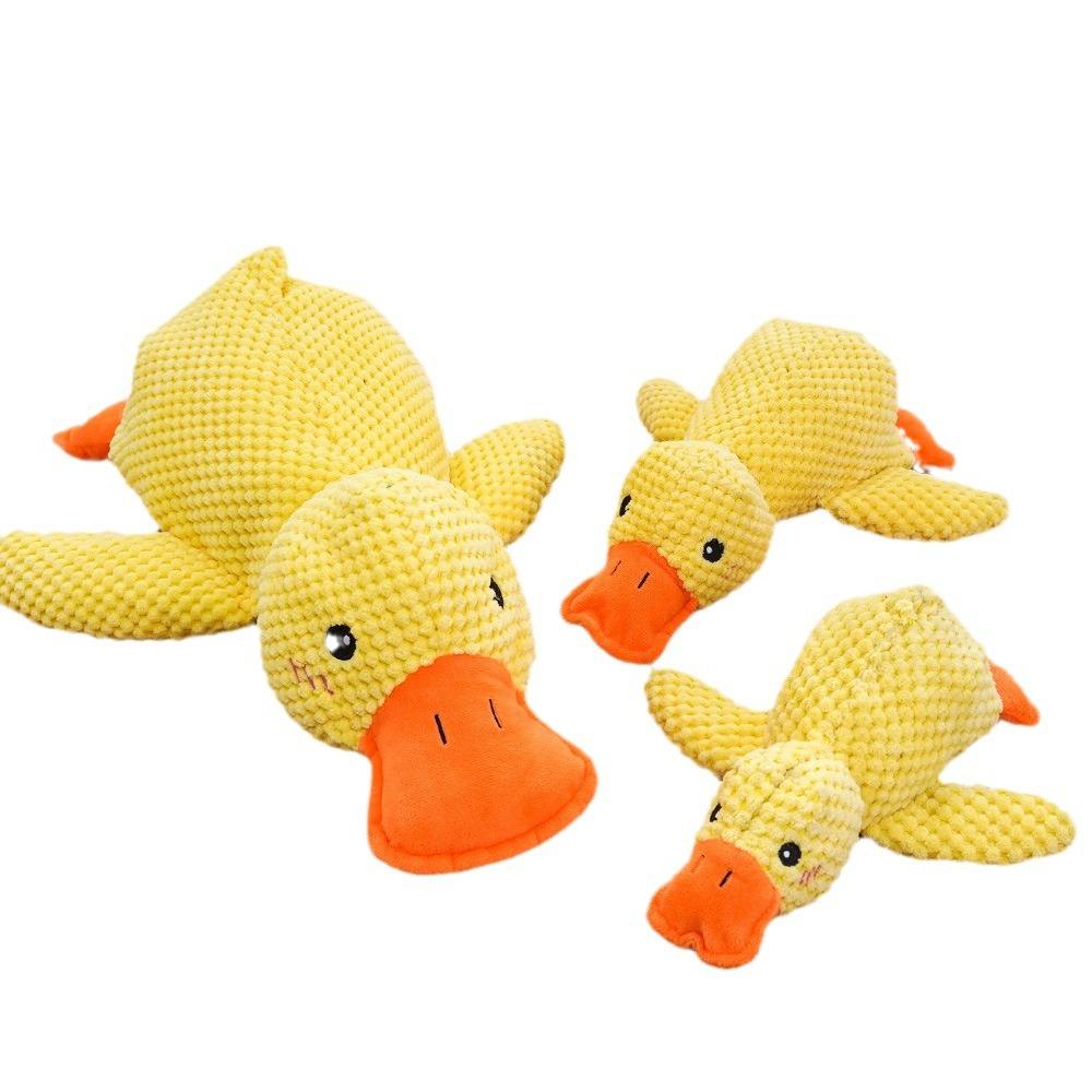 Dog Squeaky Toy