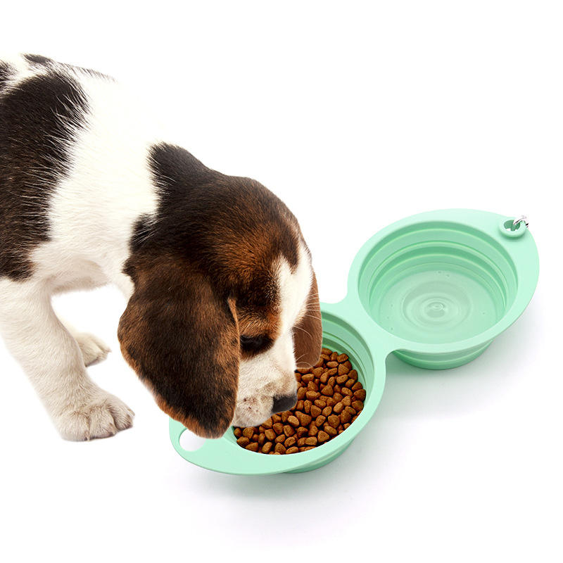 2 in 1 Foldable Pet Food & Water Bowl