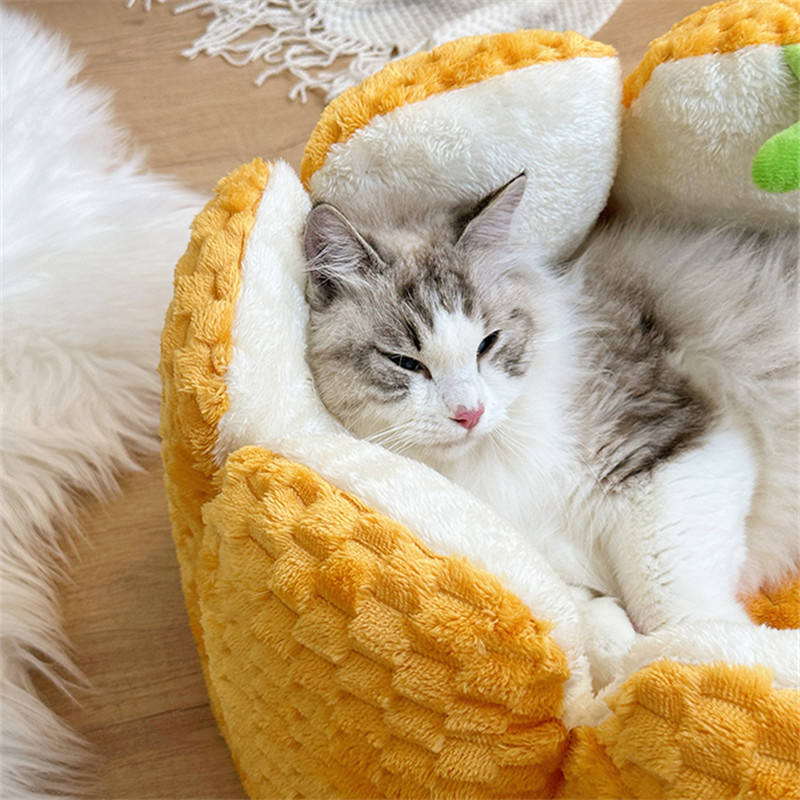 Cute Pumpkin Pet Bed