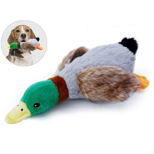 Wild Duck Interactive Dog Toy