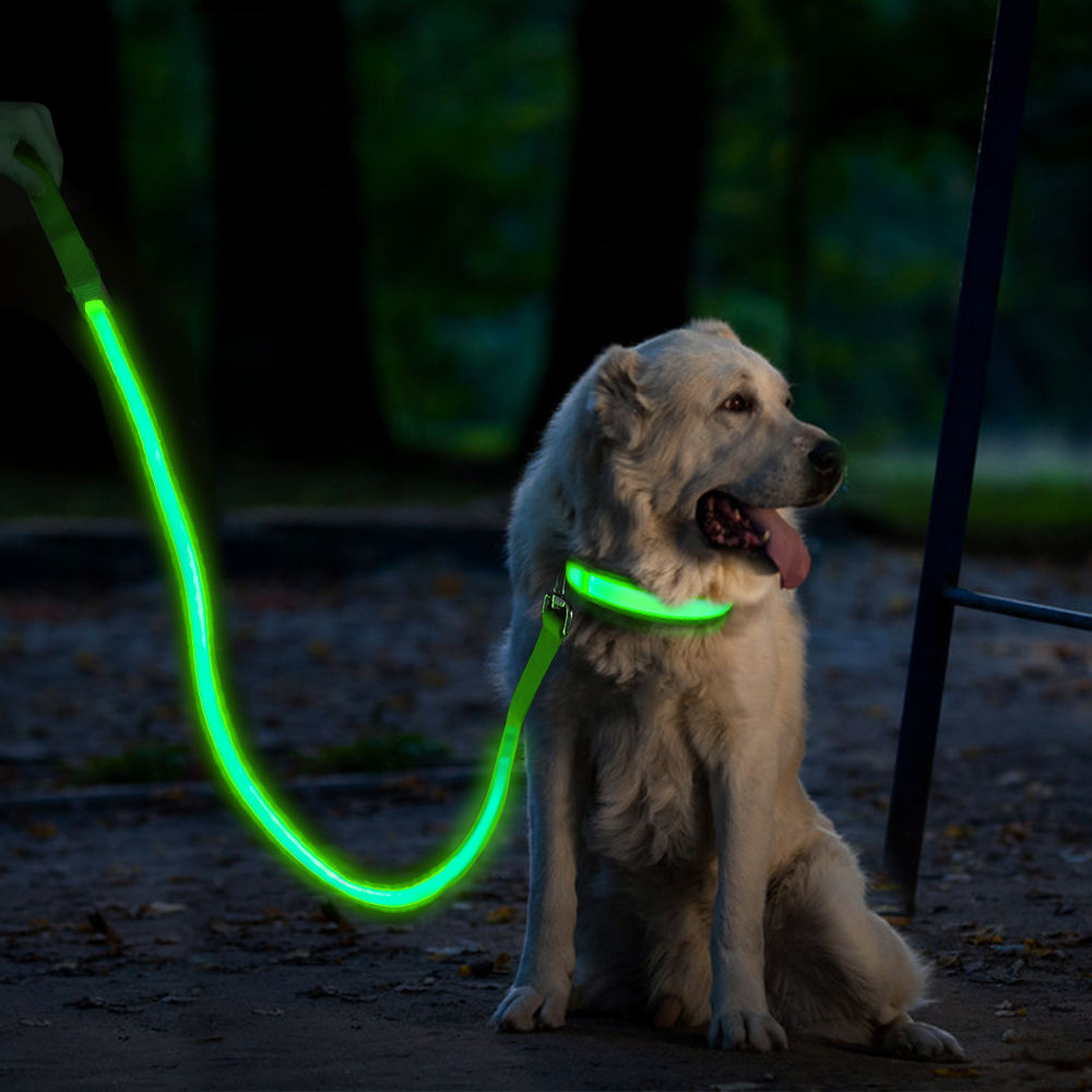 Light Up Dog Leash