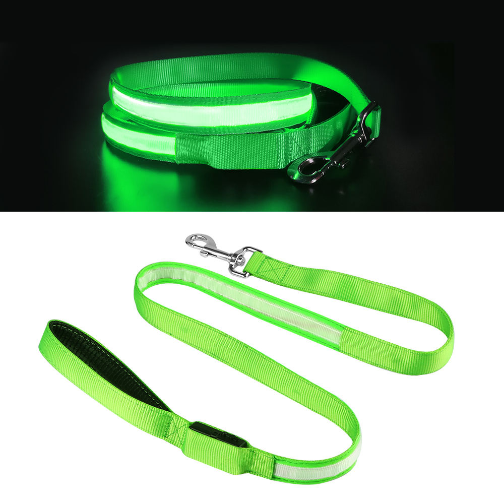 Light Up Dog Leash