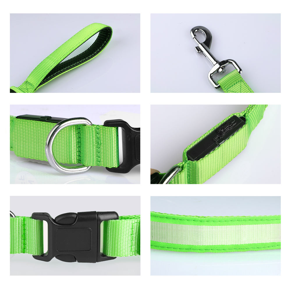 Light Up Dog Leash