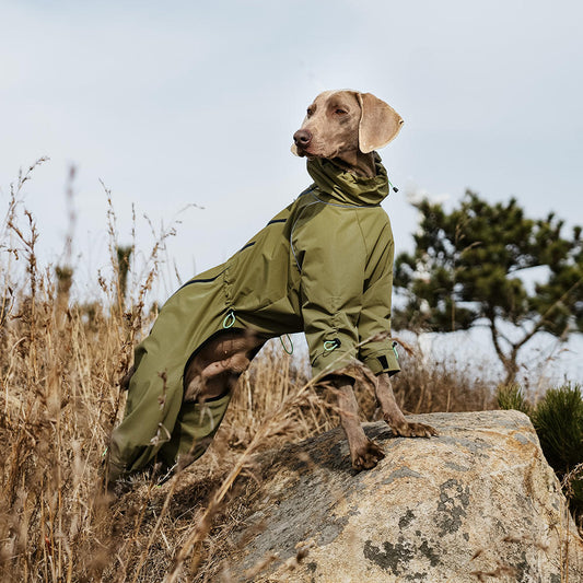 Dog coat with zip up the back