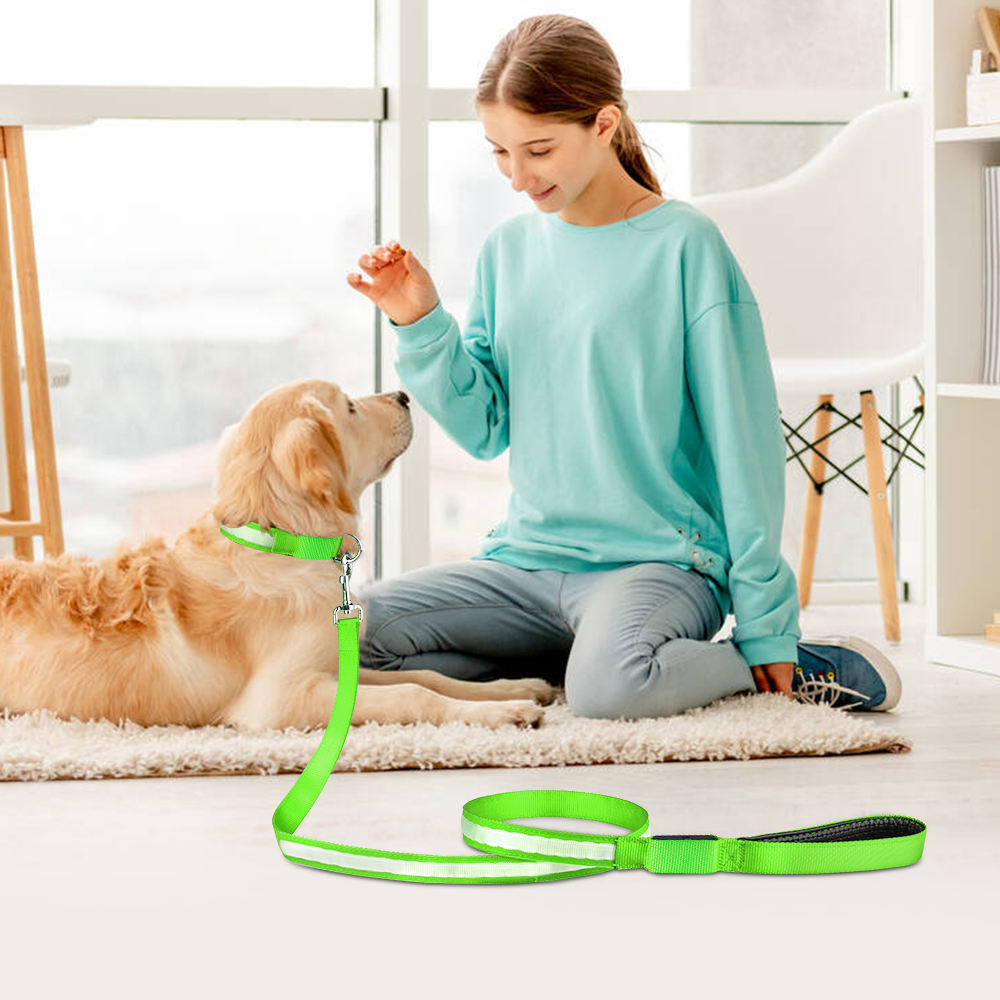 Light Up Dog Leash