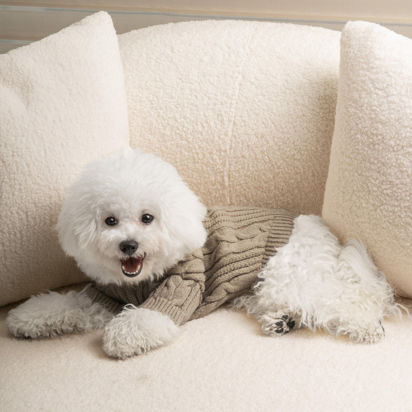 Knitted sweater to keep dogs warm in chilly conditions.