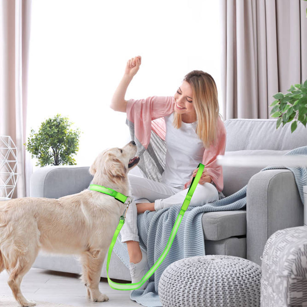 Light Up Dog Leash