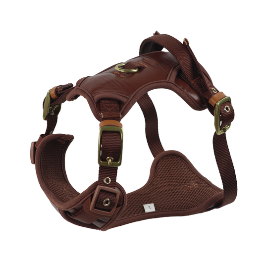 Adjustable Luxury Dog Leather Harness