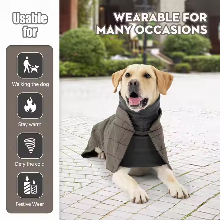 Luxury Dog Suit Pet Jacket