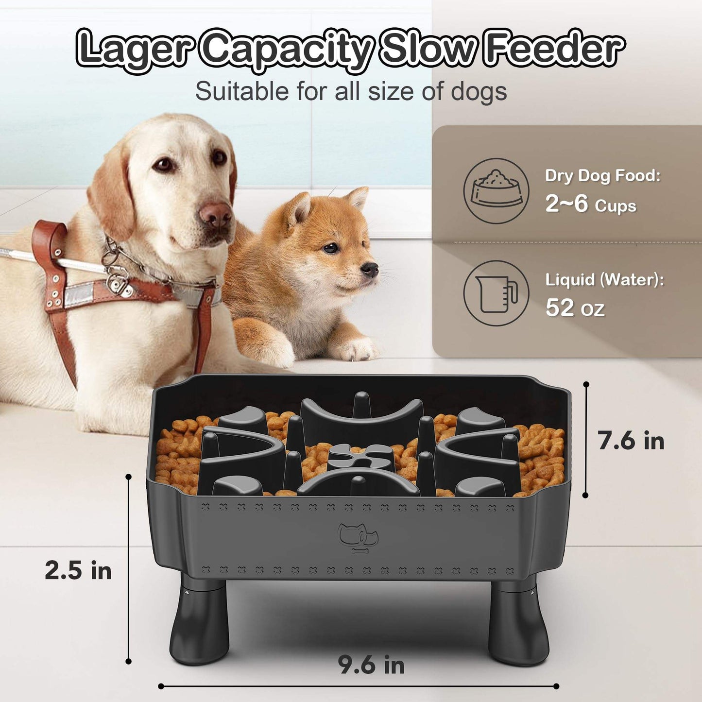 2-in-1 Raised Slow Feeder Dog Bowl With Puzzle Maze Design