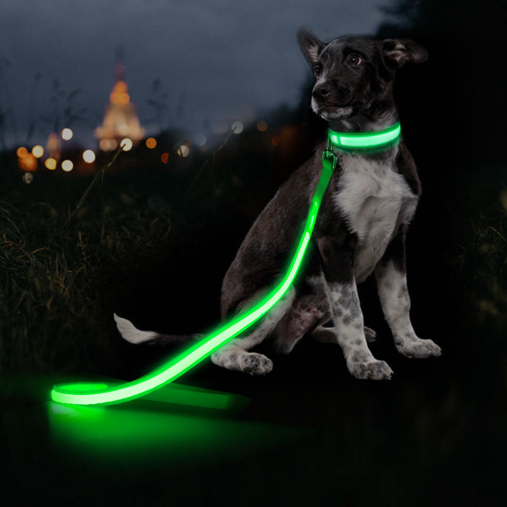 Light Up Dog Leash