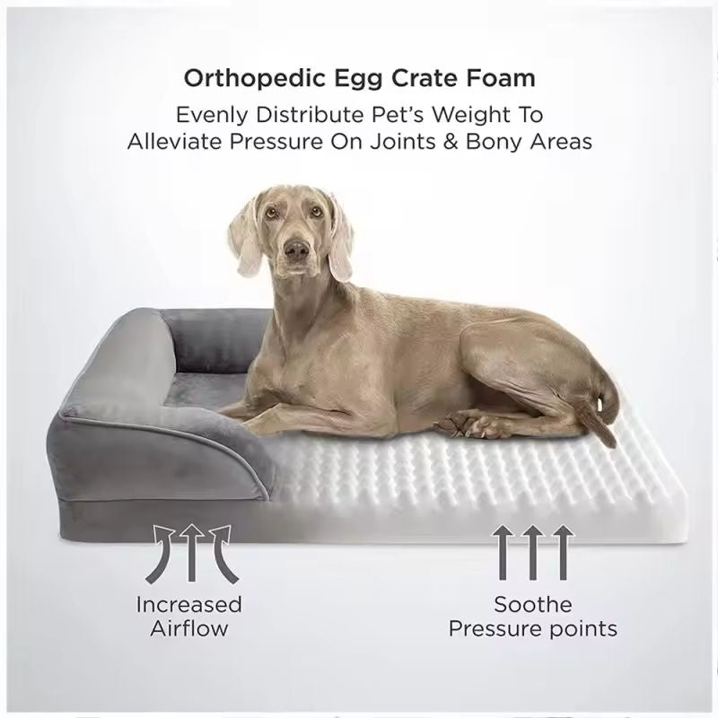 Orthopedic Dog Bed for Medium Dogs