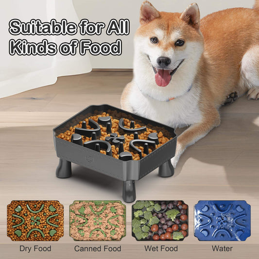 2-in-1 Raised Slow Feeder Dog Bowl With Puzzle Maze Design