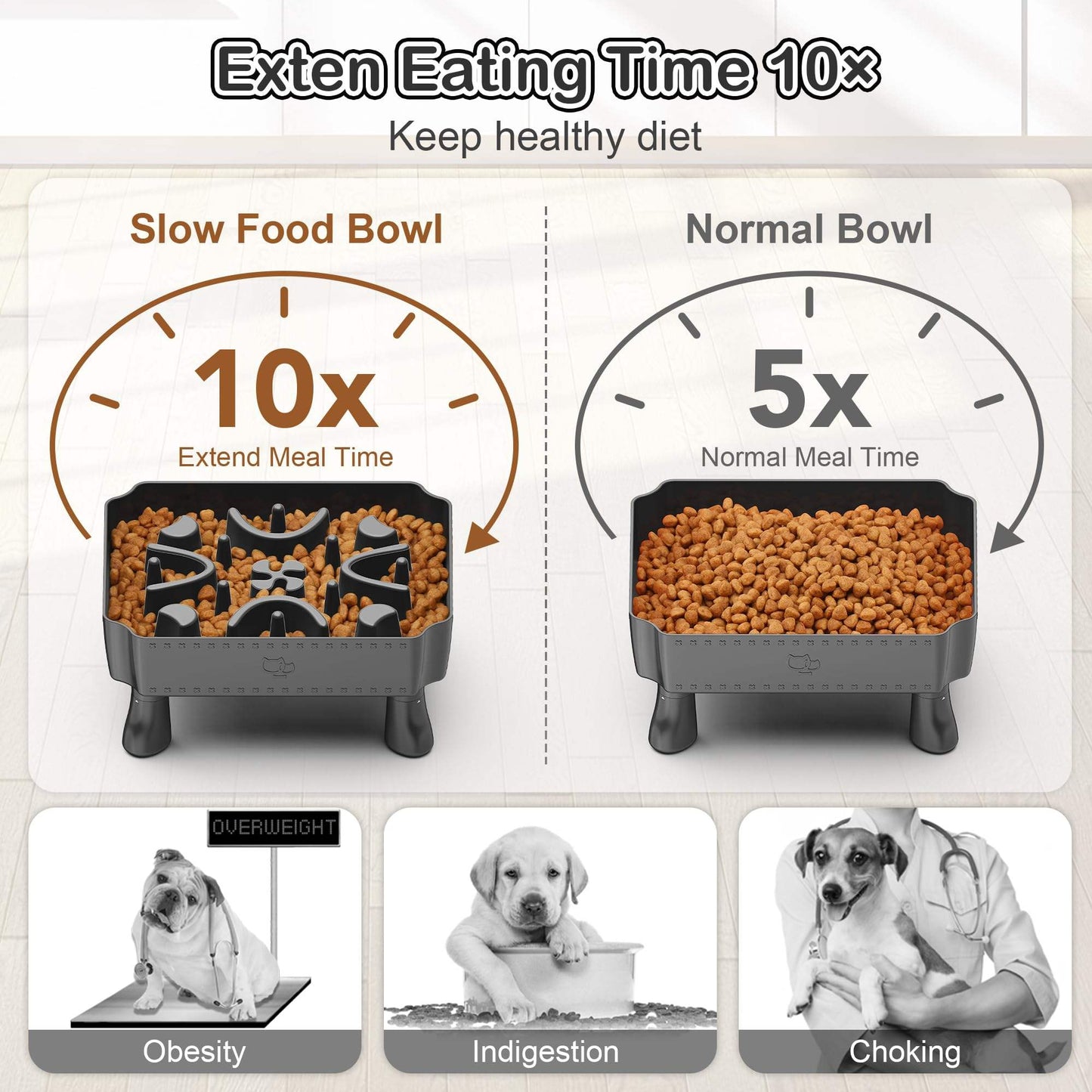 2-in-1 Raised Slow Feeder Dog Bowl With Puzzle Maze Design