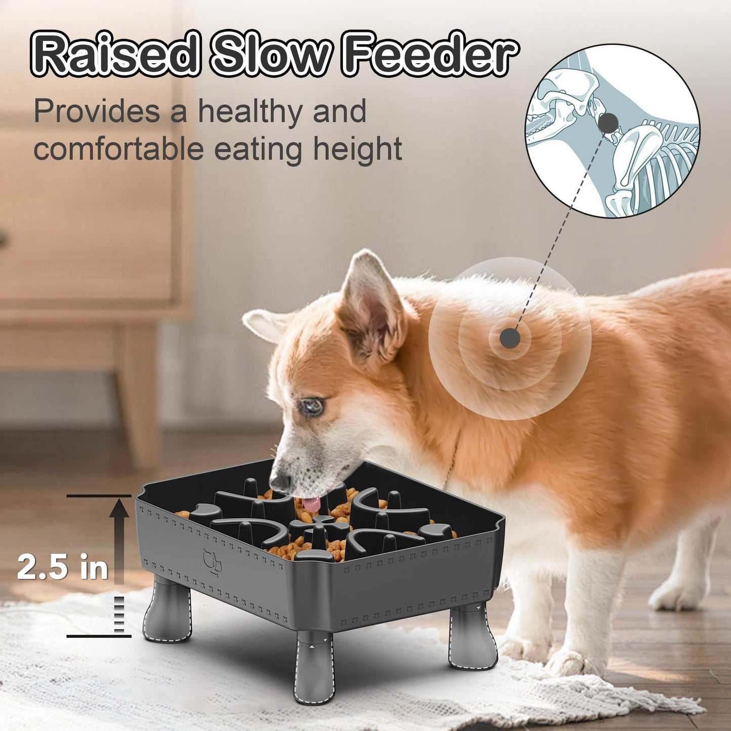 2-in-1 Raised Slow Feeder Dog Bowl With Puzzle Maze Design