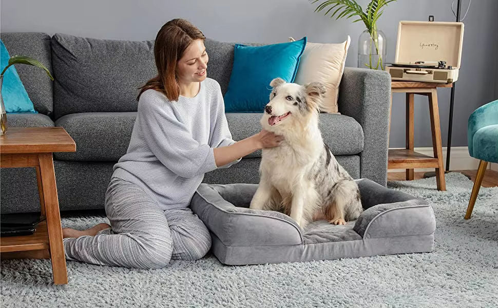 Orthopedic Dog Bed for Medium Dogs