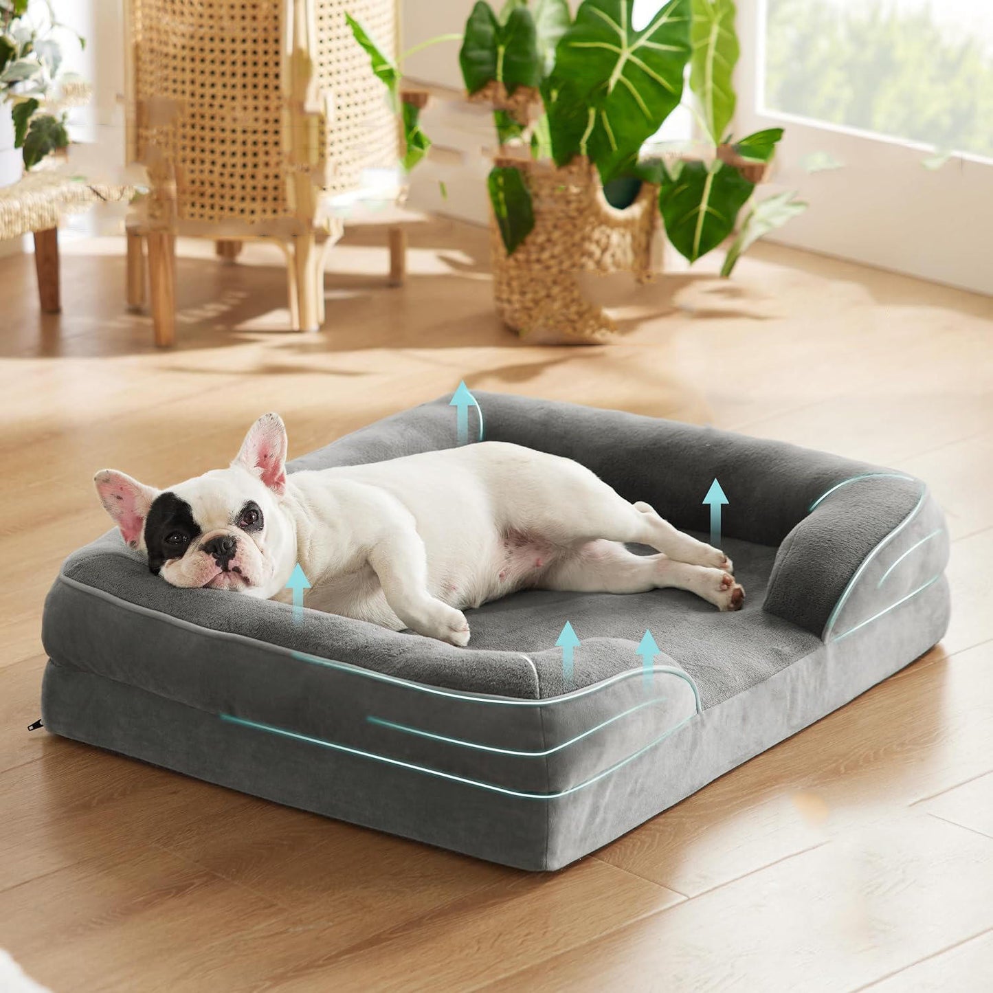 Orthopedic Dog Bed for Medium Dogs