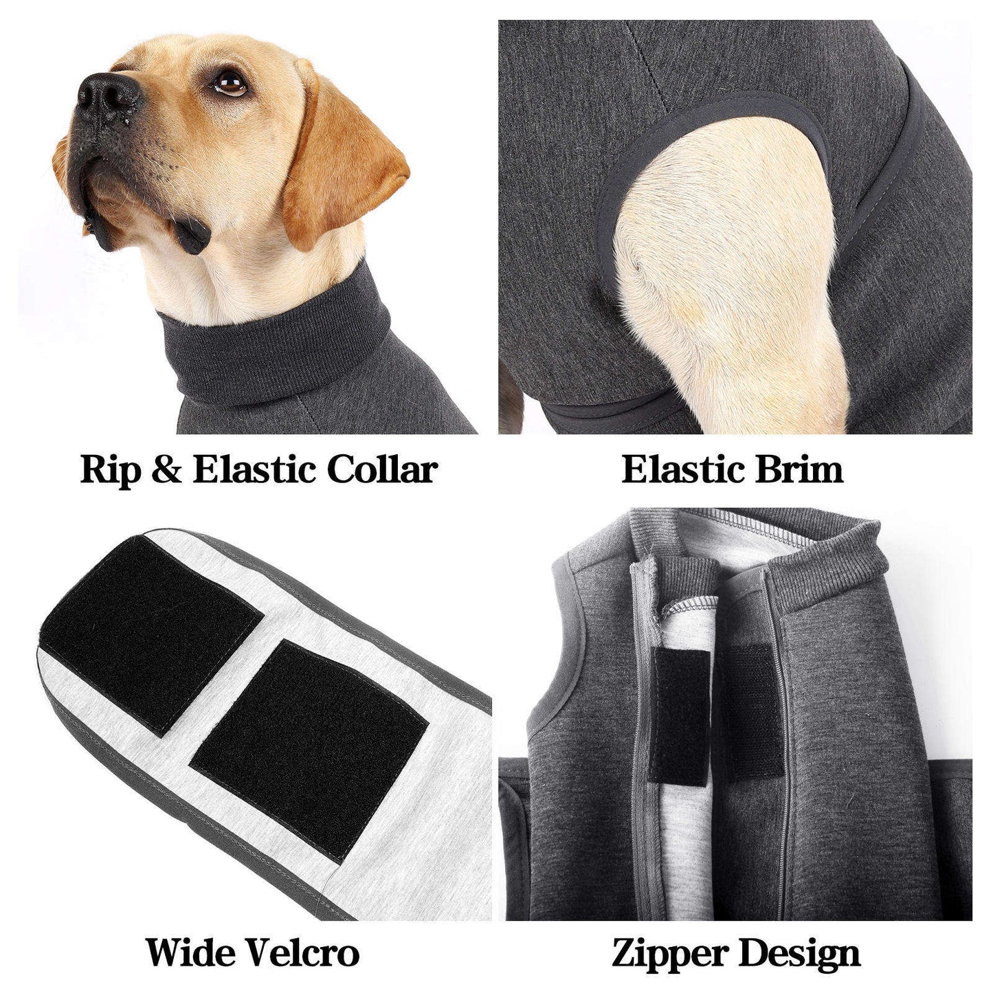 Calming wrap that help reduce anxiety in dogs during storms or stress.